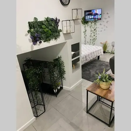 Studio Cosy